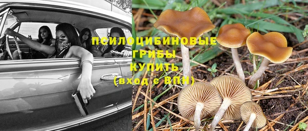 твердый Алексеевка