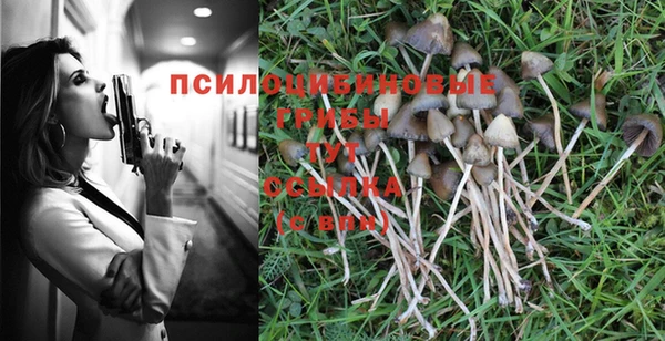 мескалин Абаза
