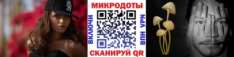 OMG сайт  Берёзовка  Псилоцибиновые грибы прущие грибы 